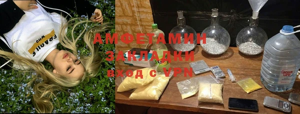 ГАЛЛЮЦИНОГЕННЫЕ ГРИБЫ Краснослободск
