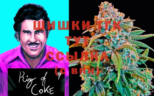 дурь Краснотурьинск