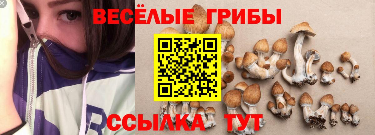 Кудымкар  Галлюциногенные грибы прущие грибы  Вход с VPN 