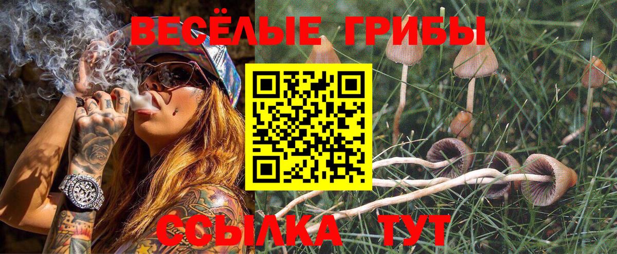 Галлюциногенные грибы GOLDEN TEACHER Кудымкар